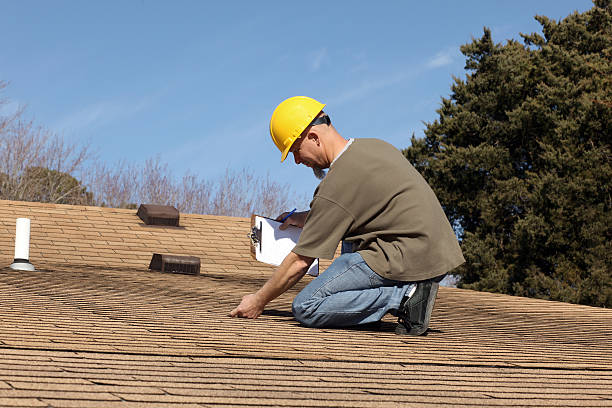 Best Storm Damage Roof Repair  in Trenton, IL